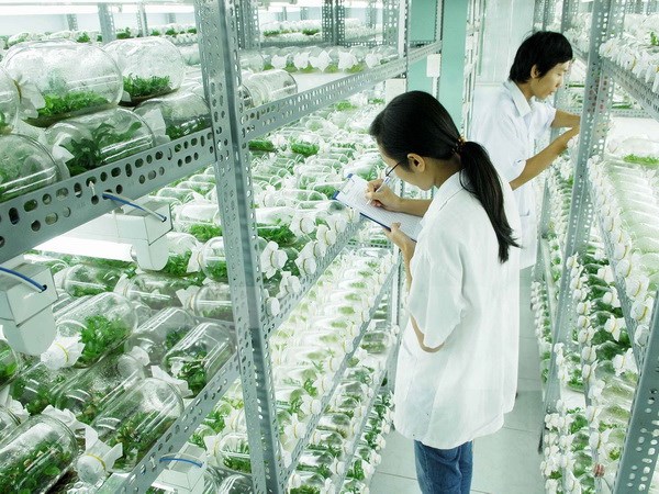 Việt Nam và Ngân hàng Thế giới hợp tác chặt chẽ trong lĩnh vực nông nghiệp